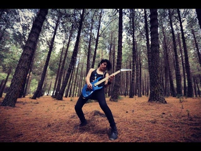 Instruletal